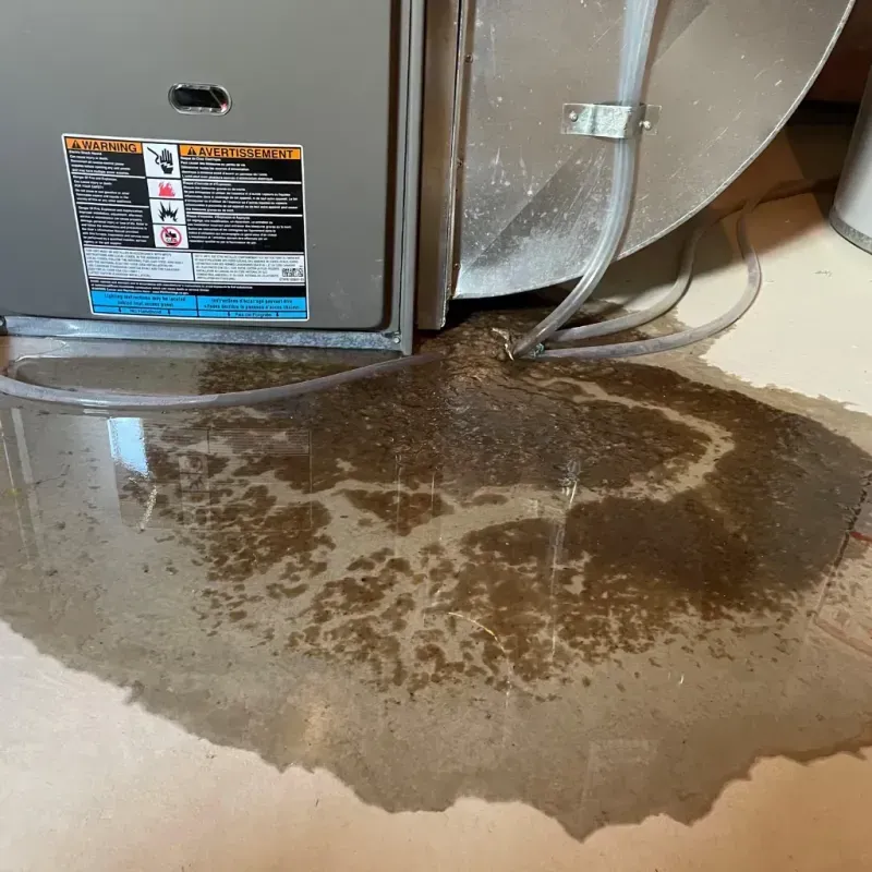 Appliance Leak Cleanup in Sheridan County, WY